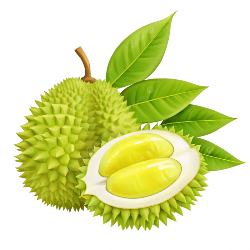 ทุเรียน | Durian