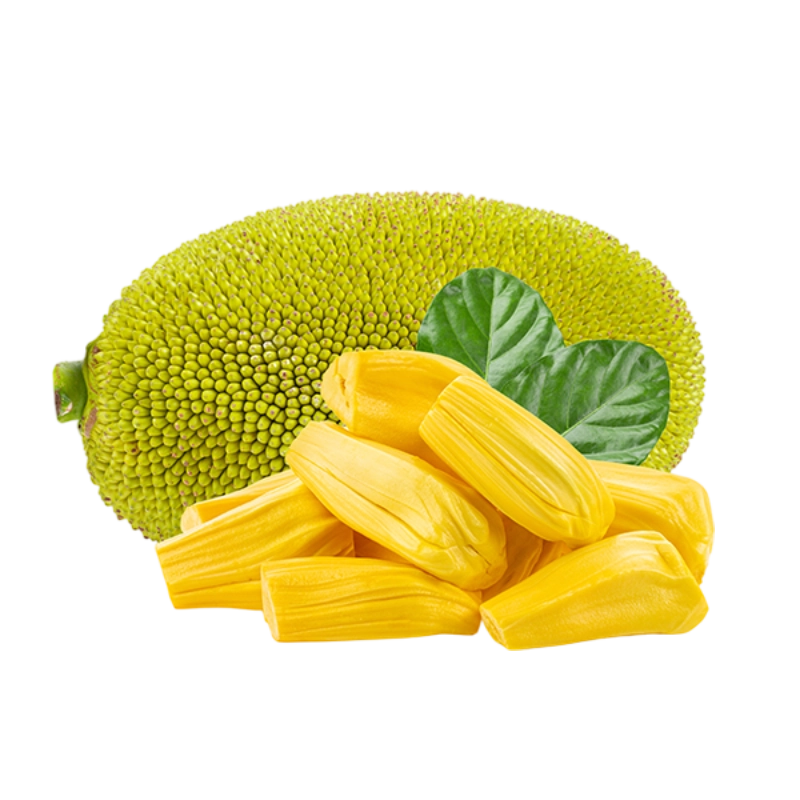 ขนุน | Jackfruit